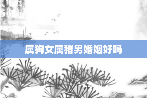 属狗女属猪男婚姻好吗