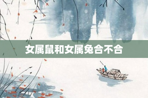女属鼠和女属兔合不合