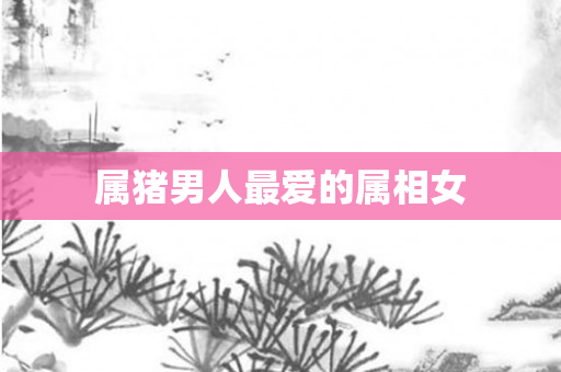 属猪男人更爱的属相女