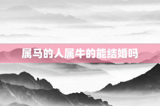 属马的人属牛的能结婚吗