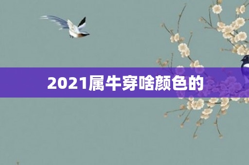2021属牛穿啥颜色的