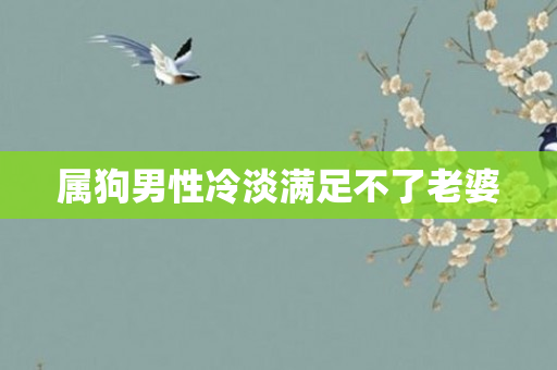 属狗男性冷淡满足不了老婆