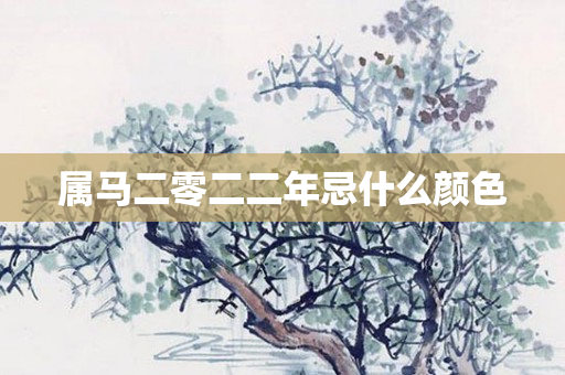 属马二零二二年忌什么颜色