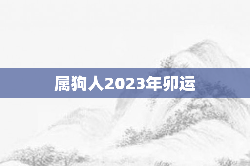 属狗人2023年卯运