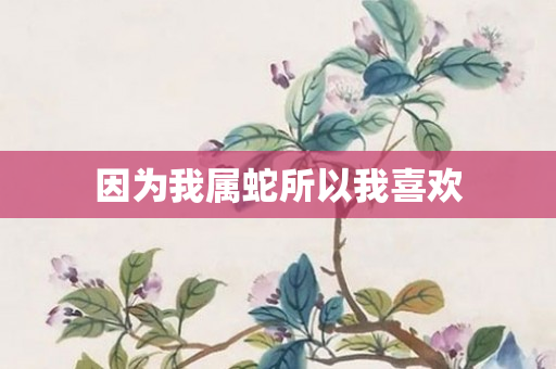 因为我属蛇所以我喜欢