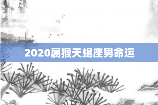 2020属猴天蝎座男命运