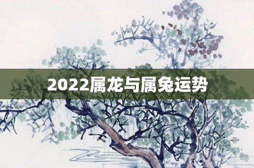 2022属龙与属兔运势