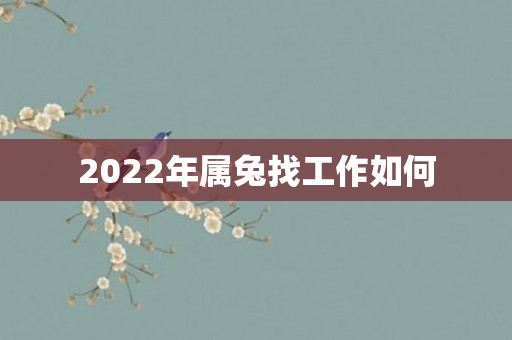 2022年属兔找工作如何