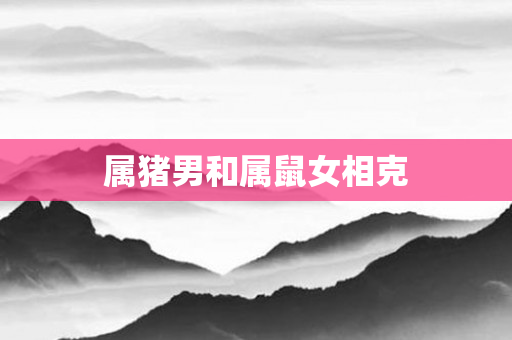 属猪男和属鼠女相克
