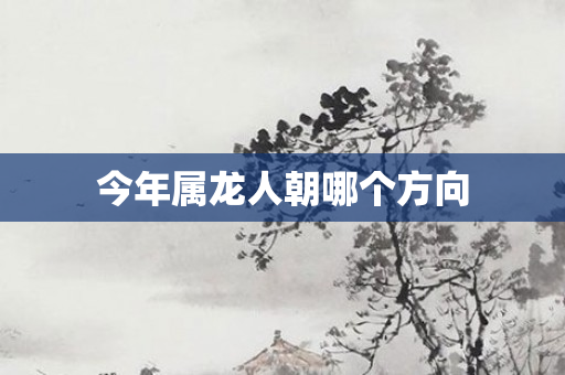今年属龙人朝哪个方向