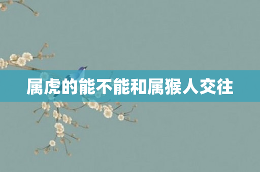属虎的能不能和属猴人交往