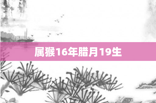 属猴16年腊月19生