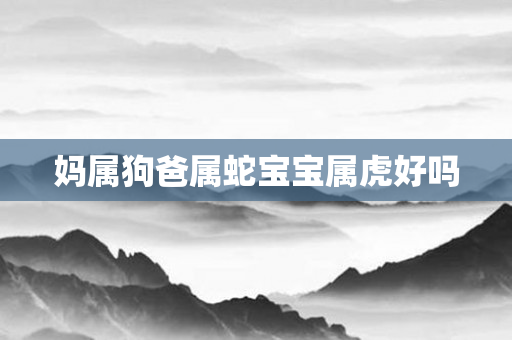 妈属狗爸属蛇宝宝属虎好吗