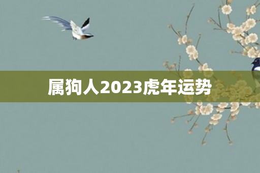 属狗人2023虎年运势