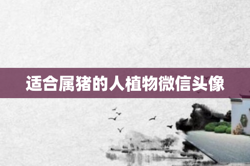 适合属猪的人植物微信头像