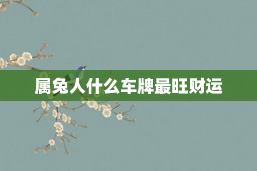 属兔人什么车牌最旺财运
