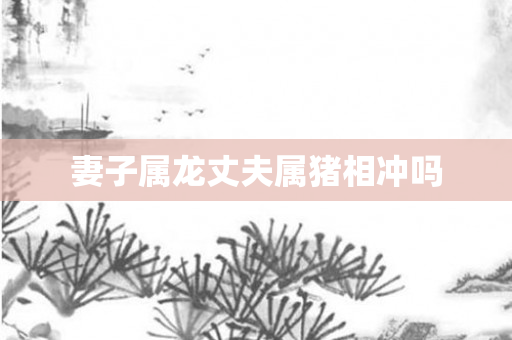妻子属龙丈夫属猪相冲吗