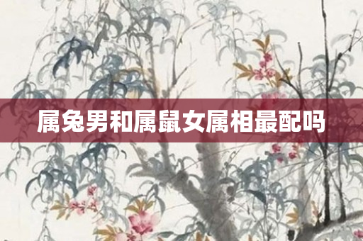 属兔男和属鼠女属相最配吗