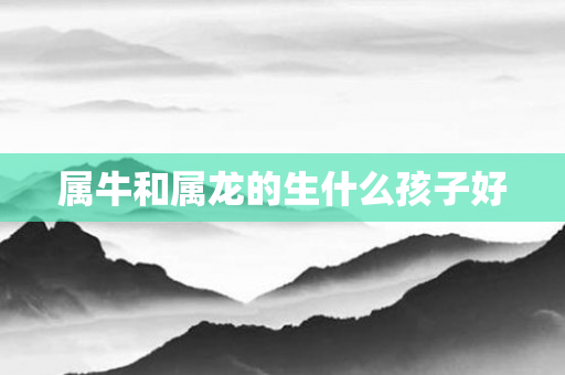 属牛和属龙的生什么孩子好