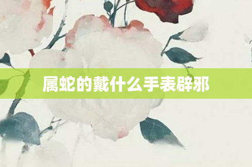 属蛇的戴什么手表辟邪