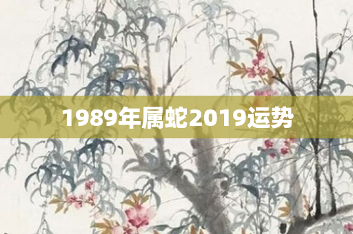 1989年属蛇2019运势