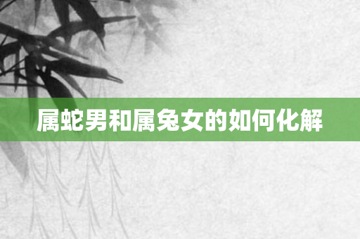 属蛇男和属兔女的如何化解