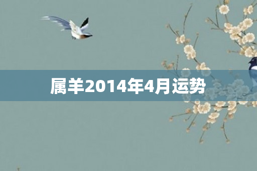 属羊2014年4月运势