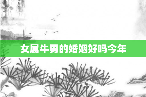 女属牛男的婚姻好吗今年