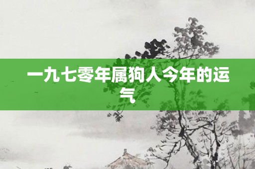 一九七零年属狗人今年的运气