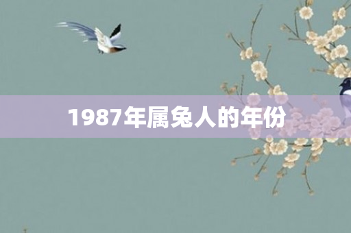 1987年属兔人的年份