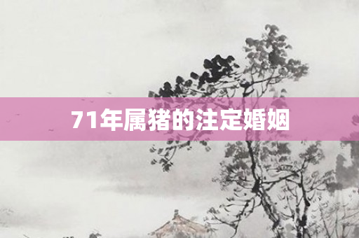 71年属猪的注定婚姻