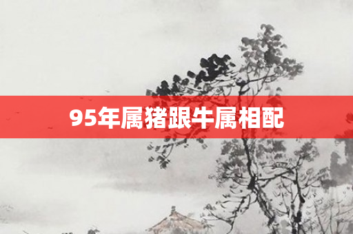95年属猪跟牛属相配