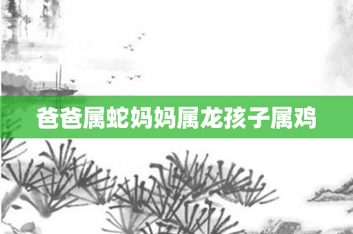 爸爸属蛇妈妈属龙孩子属鸡