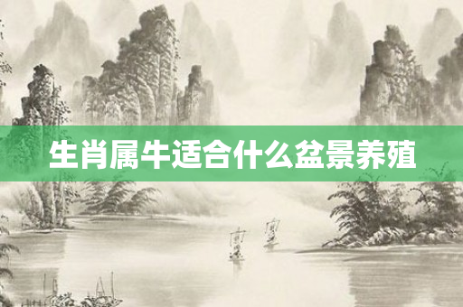 生肖属牛适合什么盆景养殖