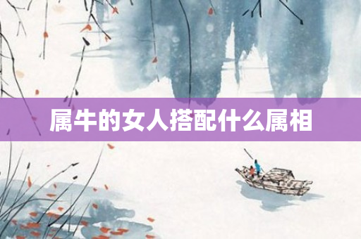 属牛的女人搭配什么属相
