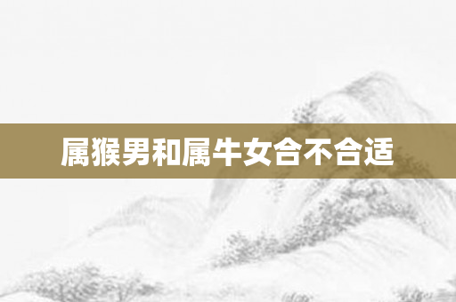 属猴男和属牛女合不合适