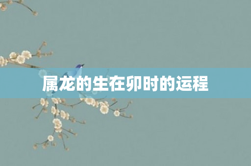 属龙的生在卯时的运程