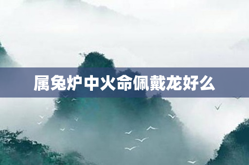 属兔炉中火命佩戴龙好么