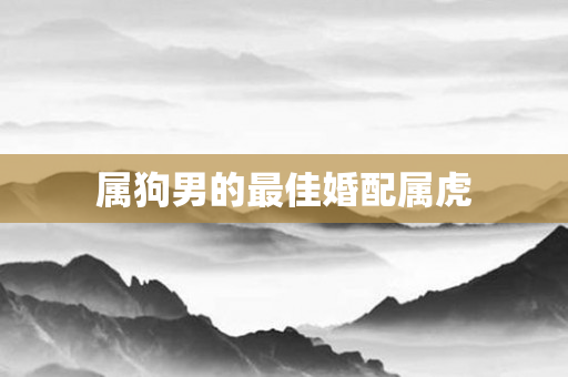 属狗男的更佳婚配属虎