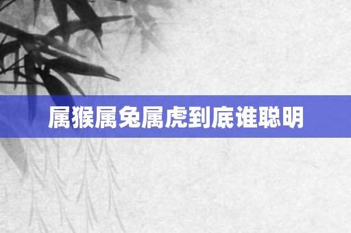 属猴属兔属虎到底谁聪明