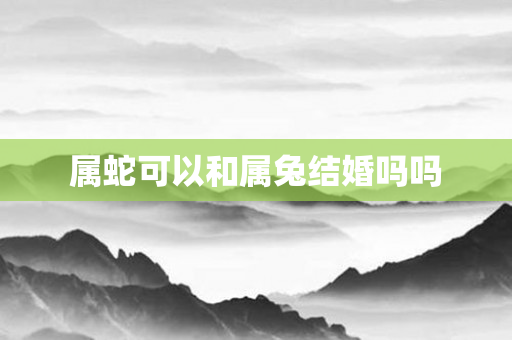 属蛇可以和属兔结婚吗吗