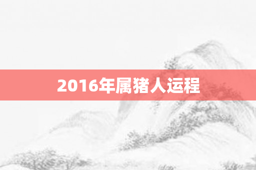 2016年属猪人运程