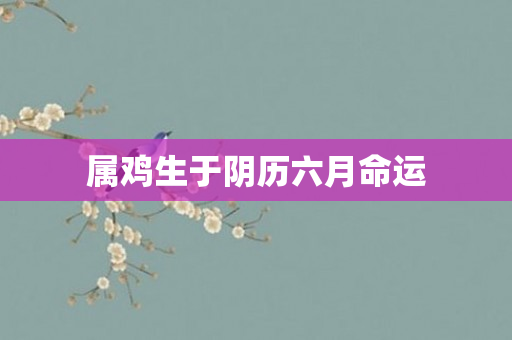 属鸡生于阴历六月命运