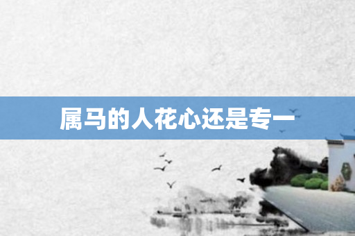 属马的人花心还是专一