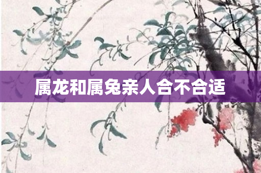 属龙和属兔亲人合不合适