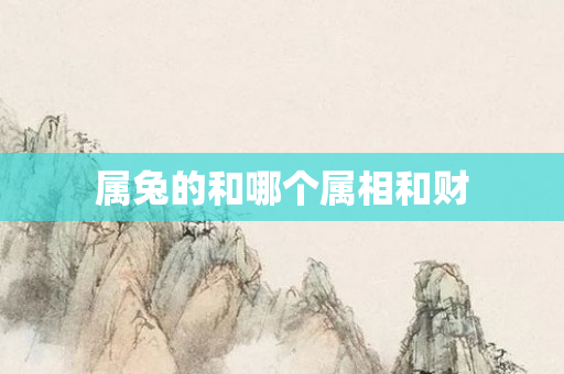 属兔的和哪个属相和财