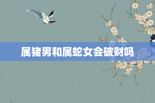 属猪男和属蛇女会破财吗