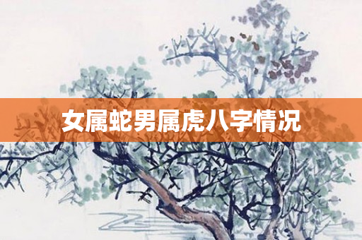 女属蛇男属虎八字情况