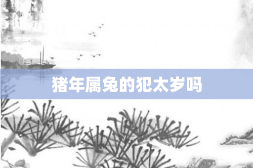 猪年属兔的犯太岁吗