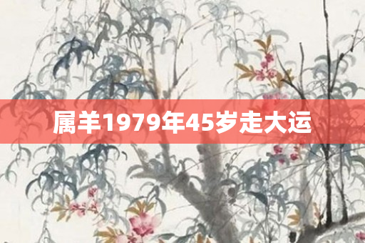 属羊1979年45岁走大运
